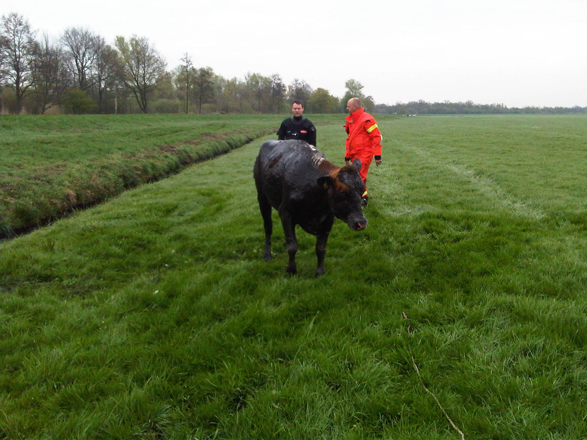 Brandweernederhorst.nl