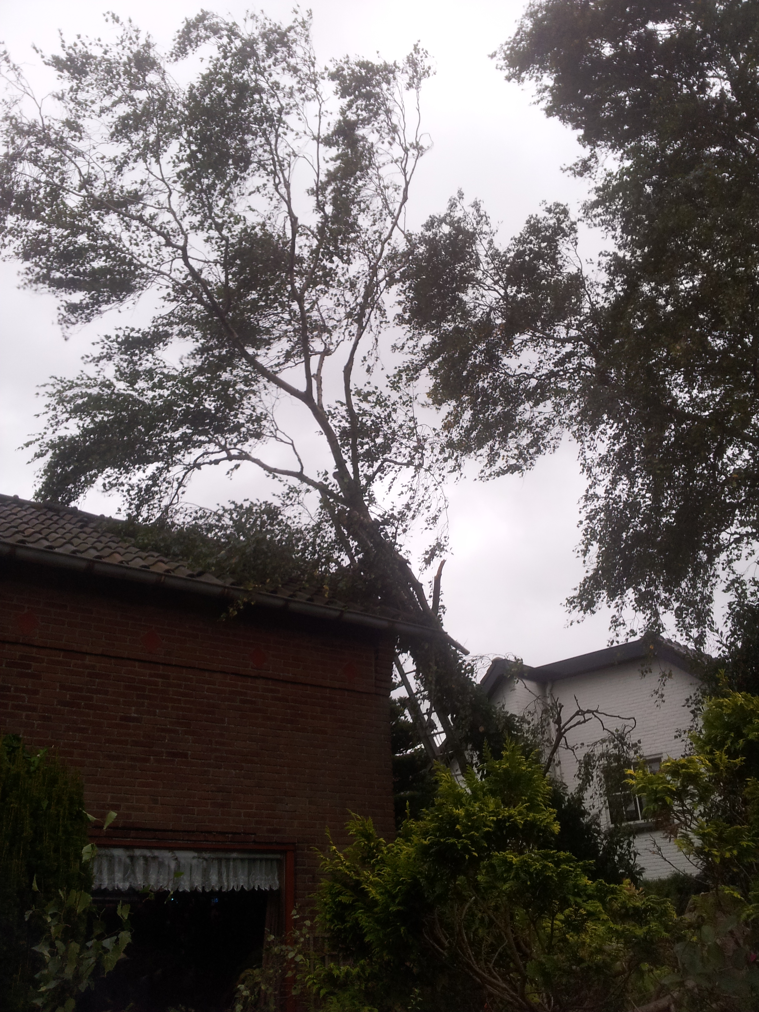 Brandweernederhorst.nl