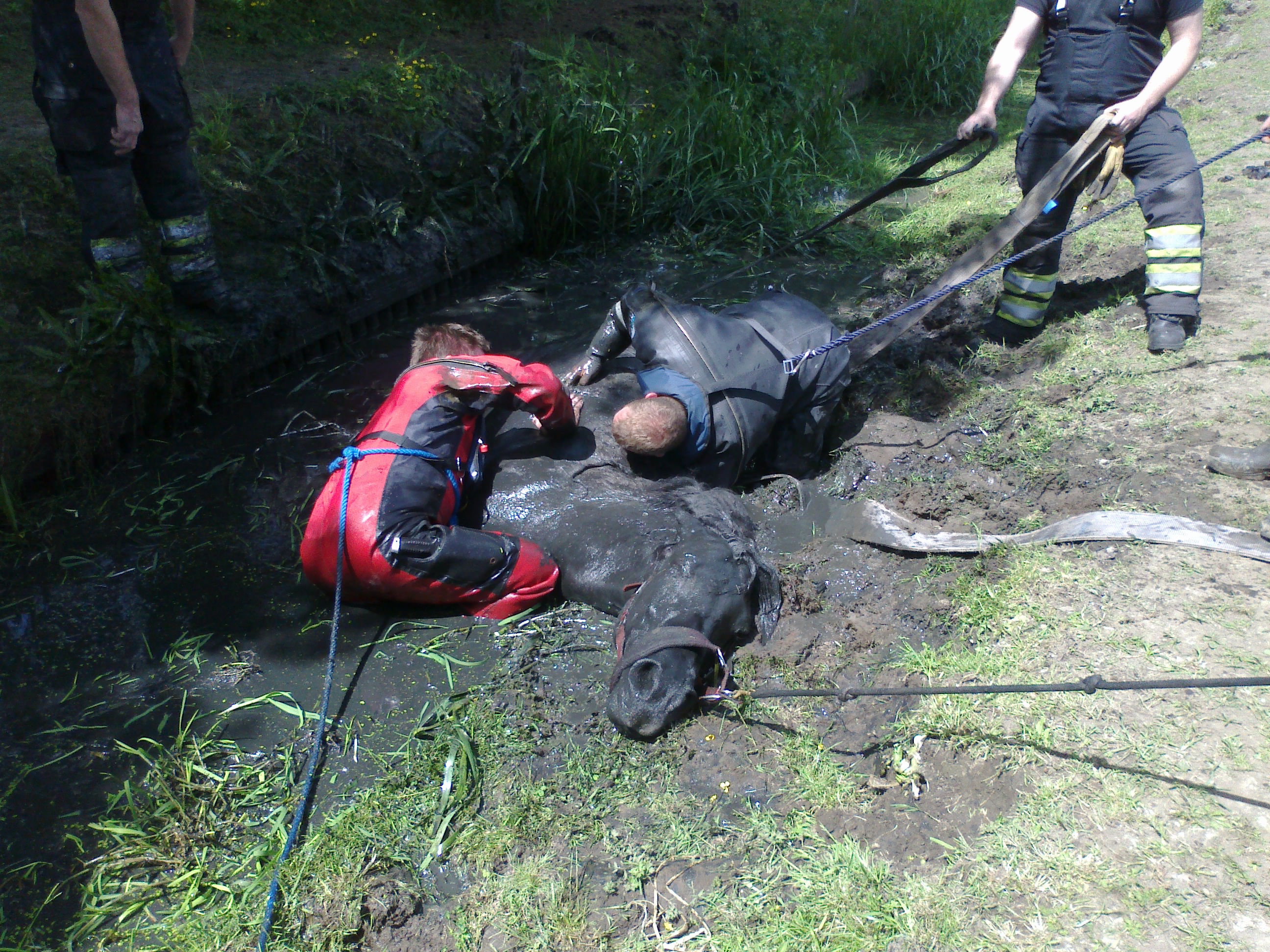 Brandweernederhorst.nl