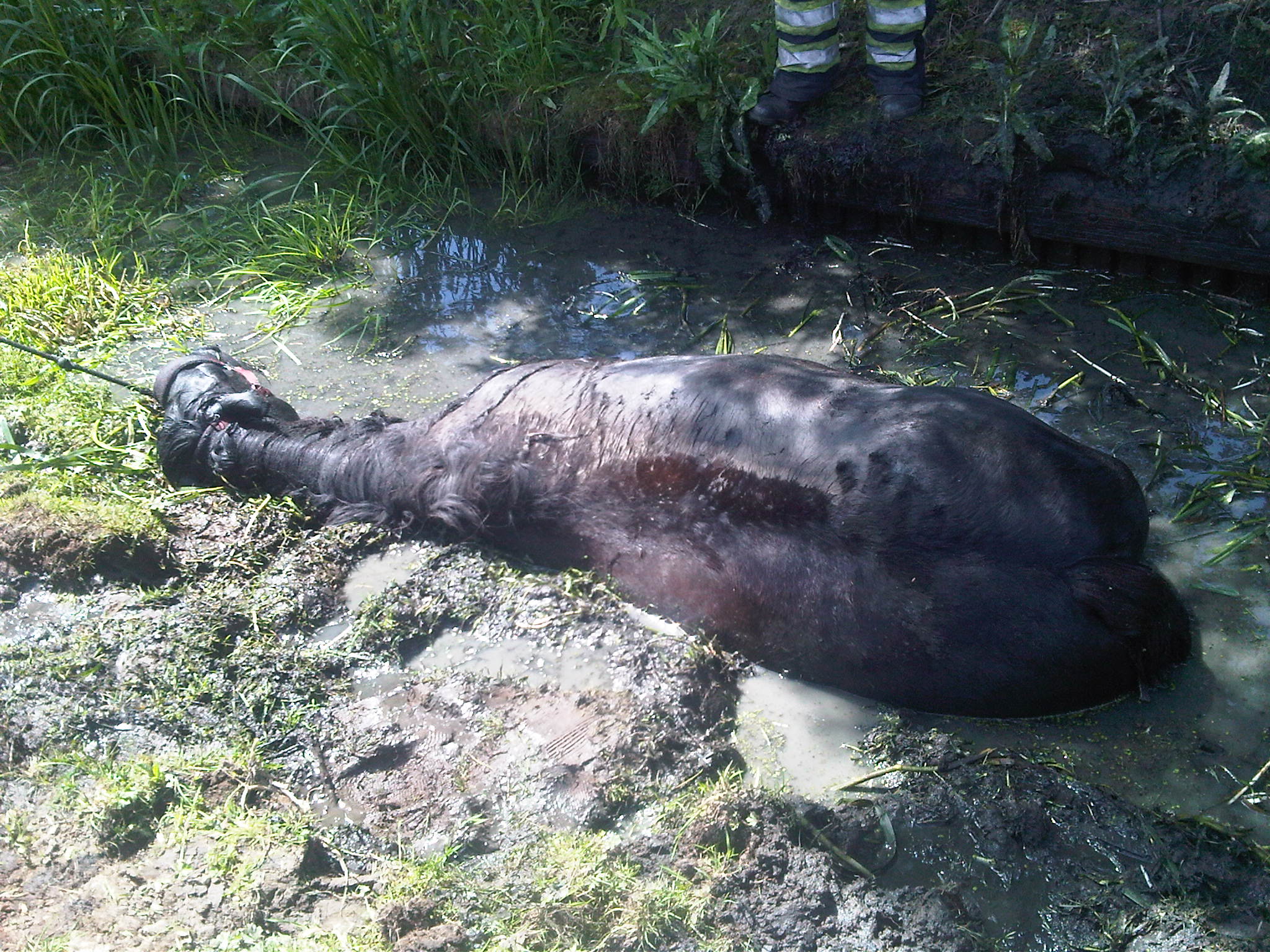 Brandweernederhorst.nl