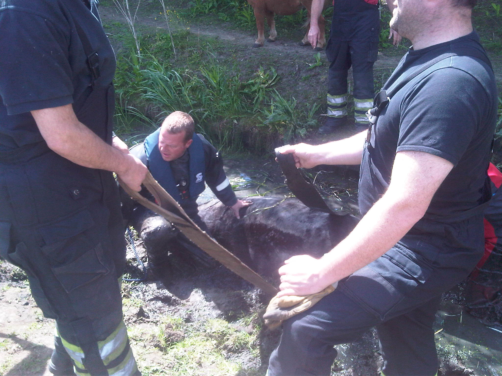Brandweernederhorst.nl