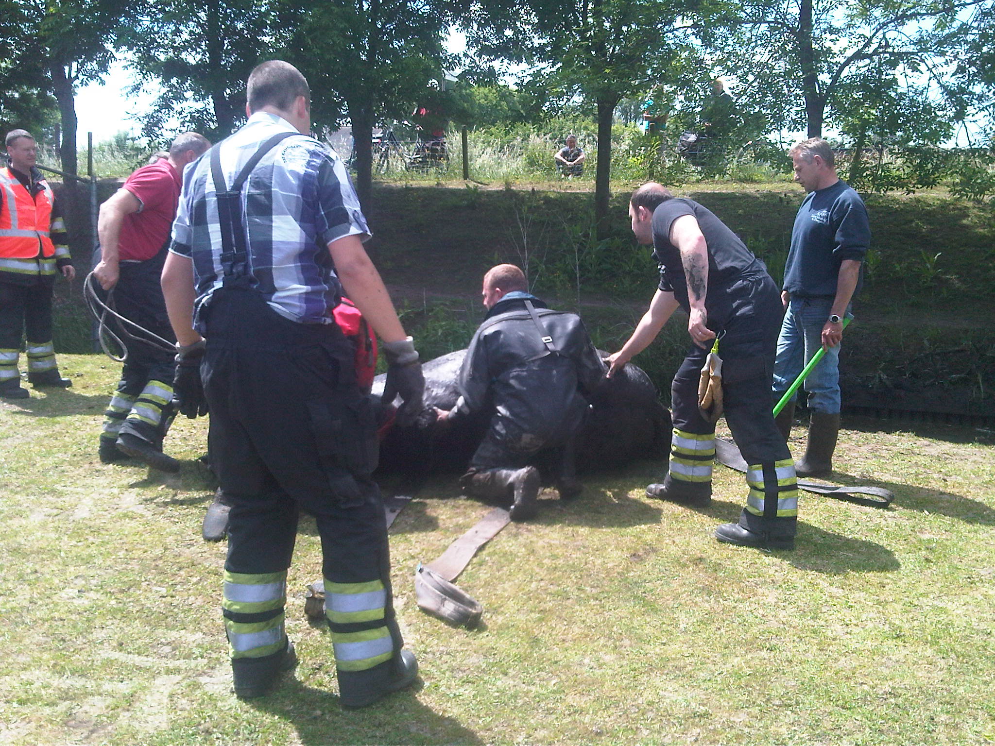 Brandweernederhorst.nl