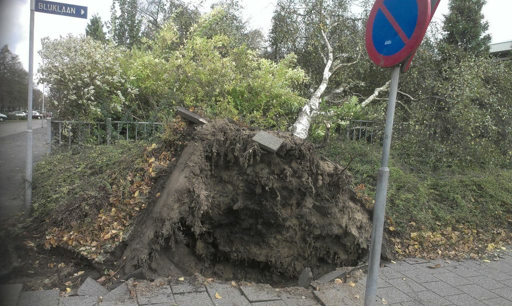 Door Gerard Groenestein