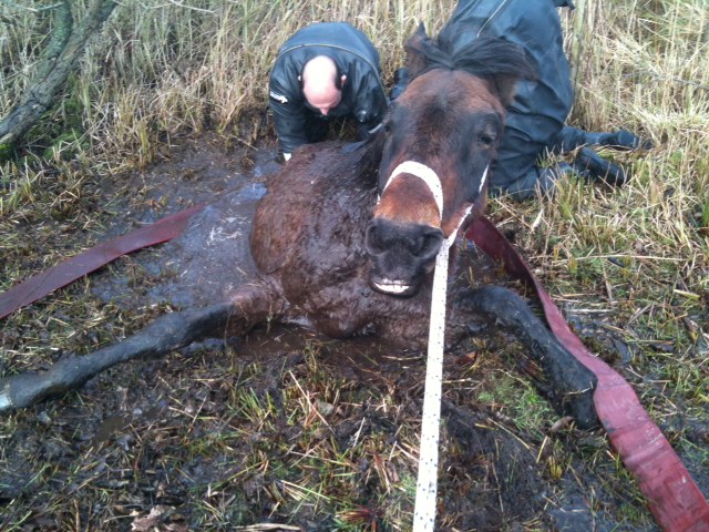 Brandweernederhorst.nl